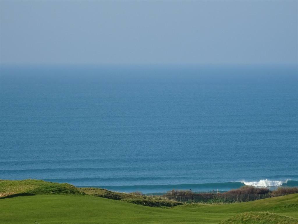 Ocean Breeze Hotel New Quay Buitenkant foto
